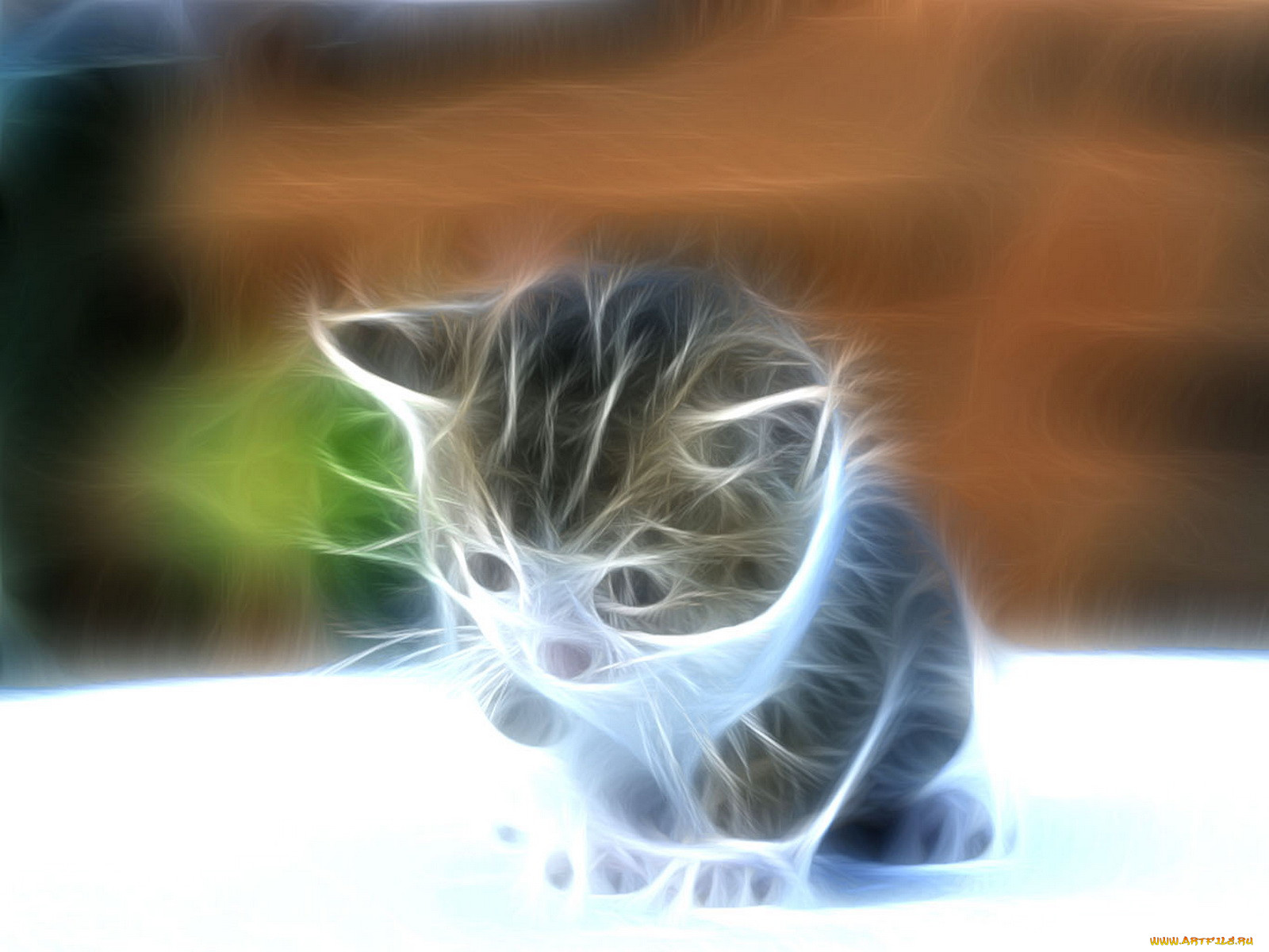 3, , animals, , 